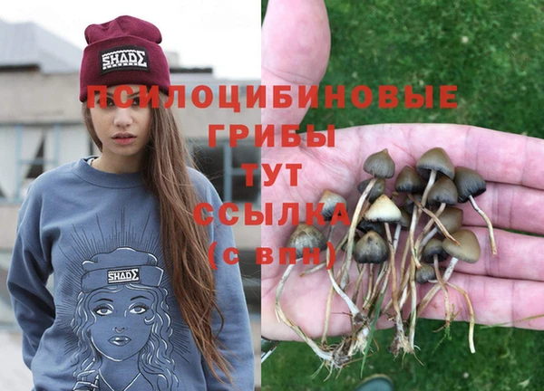 экстази Новокубанск
