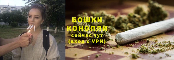 ECSTASY Новодвинск