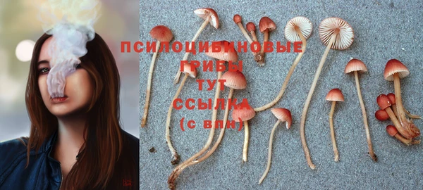 ALPHA PVP Няндома