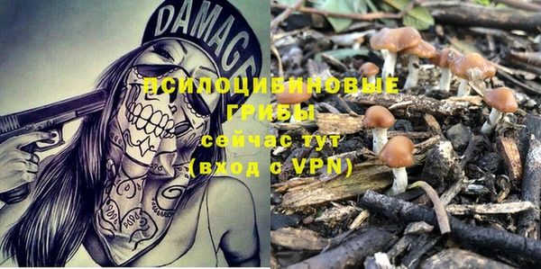 ГАЛЛЮЦИНОГЕННЫЕ ГРИБЫ Нязепетровск