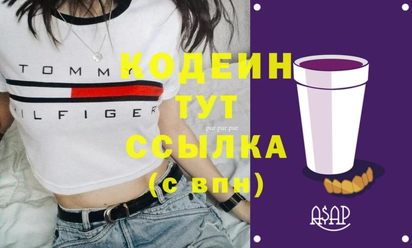 шишки Нягань