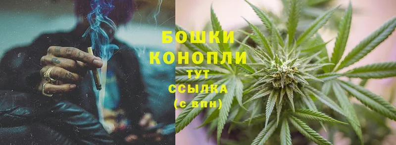 Бошки Шишки OG Kush  Кемь 